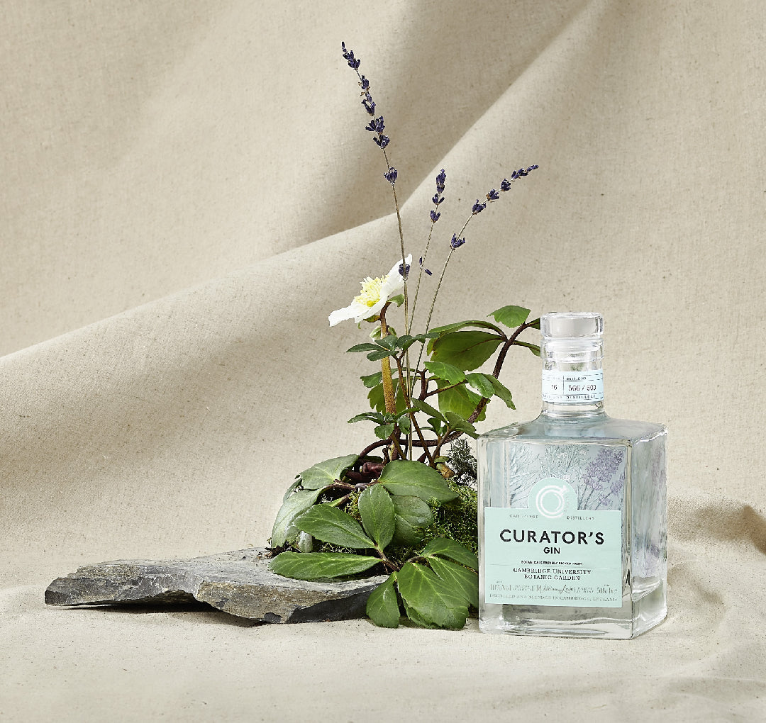 Curator's Gin